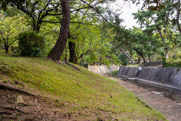 西宮・緑豊かな夙川の川岸