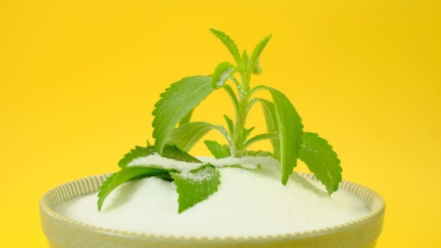 Fresh stevia branch in stevia powder in a plate on yellow background.Rotation. High quality 4k footage
