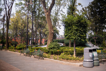 Fototapeta na wymiar Green metal benches and trash cans in peaceful park from Mexico City