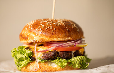 hamburger on a plate