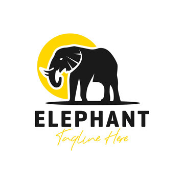 elephant animal inspiration illustration logo