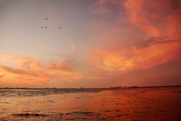 Birds flying above the sea sunset colors