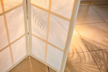 Houseplants behind folding screen in room