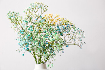 Beautiful gypsophila flowers on light background, closeup