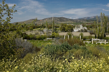 Ruins of Temple of Aphrodite and South Agora, Aphrodisias, Turkey