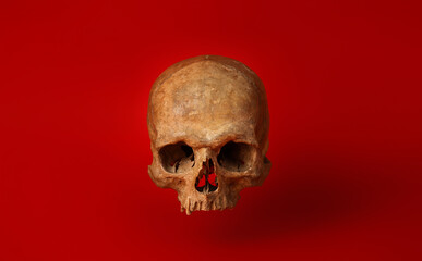 Human skull on color background