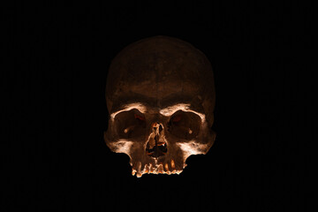 Silhouette of human skull on dark background