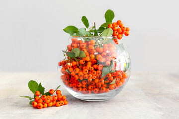 Glass vase with ripe rowan berries on table