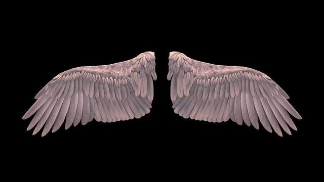 3D Waving Wings, animated angels wing