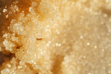 The texture of a shining scrub close-up.