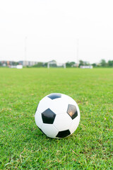 Fototapeta premium Soccer ball on the ball field