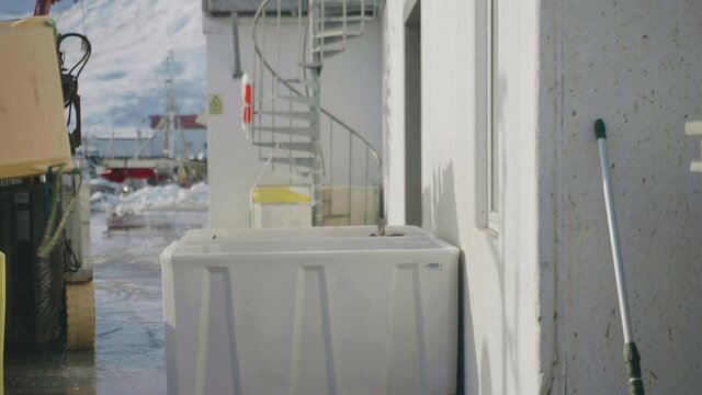 Cod catch of the day being tipped into another container with a forklift
