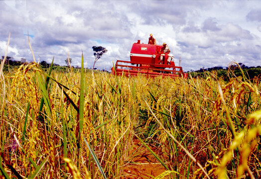 Colheita de arroz com m&aacute;quina em Sinop no Mato Grosso. AgpMT_KPL3.03.1987