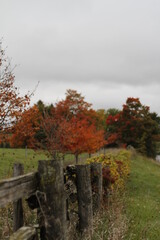 autumn scenery with old wooden fence