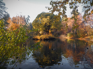 autumn in the park