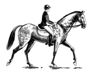 Ink black and white drawing of a female jocker riding a horse © berdsigns