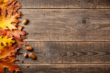 Autumn background with fall oak leaves on wooden background