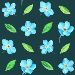 Forget-me-not. Pattern. Watercolor botanical illustration included in the collection of wildflowers. Isolated image on a dark background. For your design.