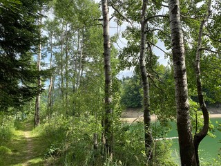 Hiking and recreational trails along Omladinsko Lake or bicycle paths around Lokvarsko Lake, Lokve - Croatia (Pješačko-biciklističke staze oko Omladinskog ili Lokvarskog jezera, Lokve - Gorski kotar)