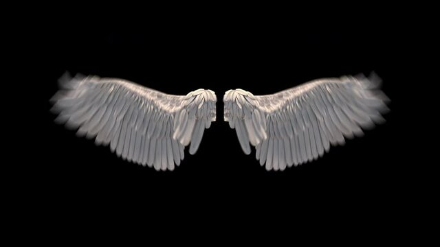 3d wings animation
