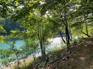 Obraz premium Hiking and recreational trails along Omladinsko Lake or bicycle paths around Lokvarsko Lake, Lokve - Croatia (Pješačko-biciklističke staze oko Omladinskog ili Lokvarskog jezera, Lokve - Gorski kotar)