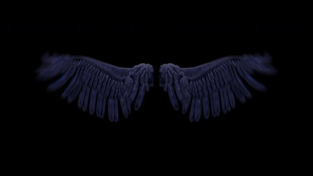 3d wings animation