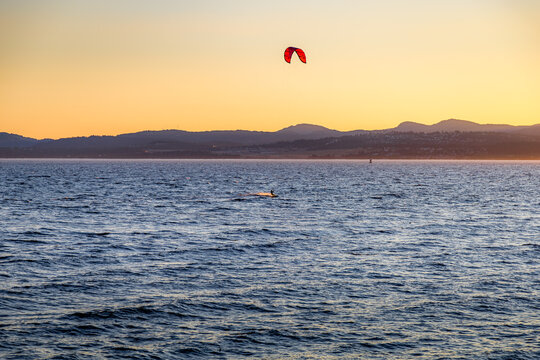kite surfing at sunset - Victoria, BC Canada