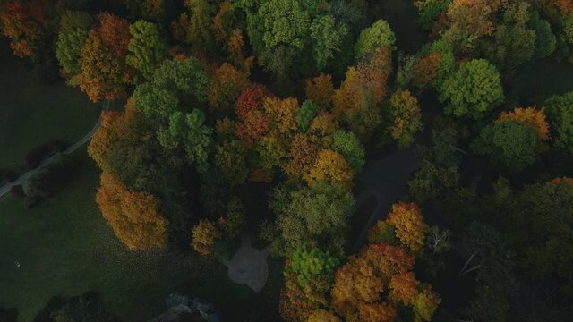 Flight over the autumn park. Trees with yellow autumn leaves are visible. Aerial photography.