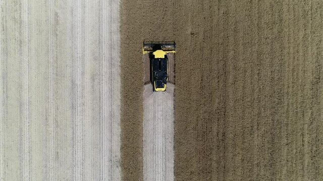 combine harvester reaping dried rapeseed in the field ready for harvest. Bird eyes view, zooming out