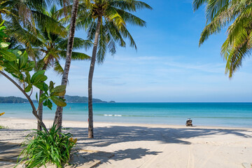 Phuket patong beach Summer beach with palms trees around in Patong beach Phuket island Thailand, Beautiful tropical beach with blue sky background in summer season Copy space