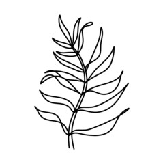 Abstract leaf as line drawing on the white background. Vector