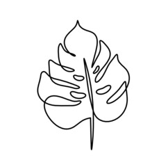 Abstract leaf as line drawing on the white background. Vector