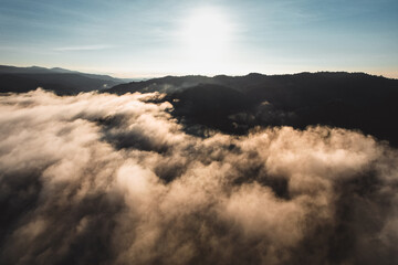 Morning fog in the forest from above