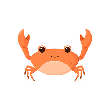 Cute crab in cartoon style on white background.
