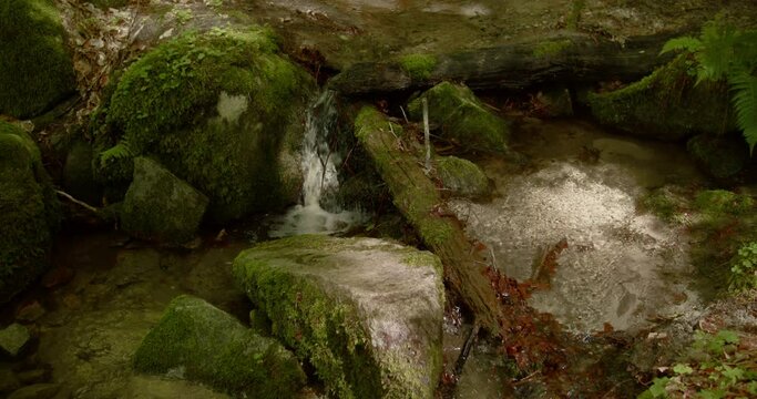 ittle waterfall in forest river green sunrays sun