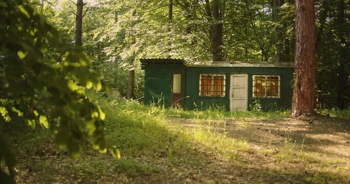 reen wooden house ranch in the middle of forest