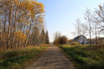 Road To The Barn, Elk Island National Park, Alberta