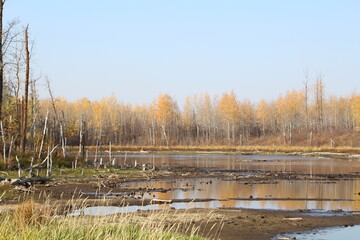 Autumn On The Wetlands, Elk island National Park, Alberta