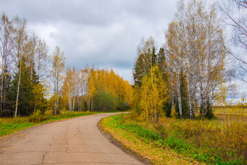 landscape with road and autumn yellow trees 