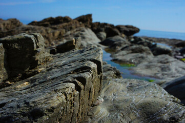 Seashore Weathers Grey Brown Rocks