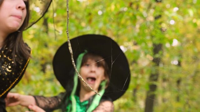 Two pretty sisters wearing mystic costumes and hats saw in the autumn forest spider on its mesh, girl were scared.