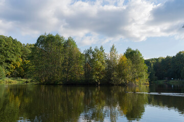 Fototapeta na wymiar Reflection of trees in the lake.