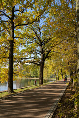 Alley in the city park in sunny autumn weather.