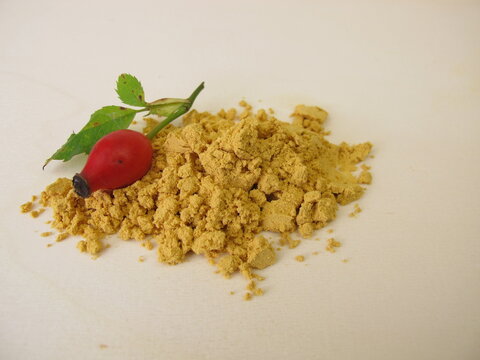 Rose hip seed powder from the red dog rose