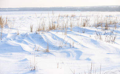 Winter landscape with dry grass in white snow on a sunny day