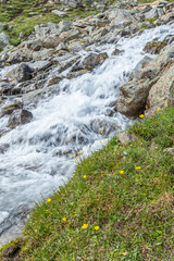Waterfall and wildflowers on a meadow