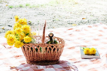Picnic basket on the red blanket at nature. white wine, book, picnic