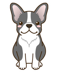 フレンチブルドッグ（パイド）