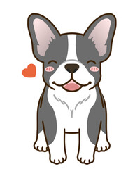 なつくフレンチブルドッグ（パイド）