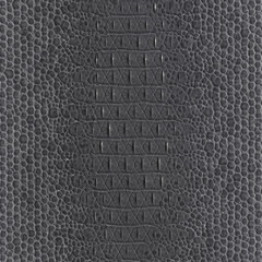 Genuine caiman leather. Gray crocodile skin texture for background. 3D-rendering - obrazy, fototapety, plakaty